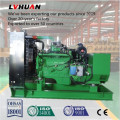 Low Comsumption 50Hz/60Hz Cummins 200kw Natural Gas Generator with High Quality